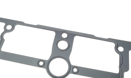 Фото 2 - Прокладки (комплект) Borsehung B19193