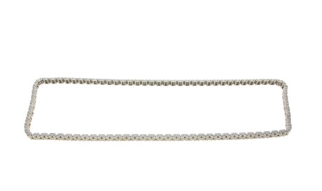 Фото 3 - Цепь ГРМ Borsehung B19209