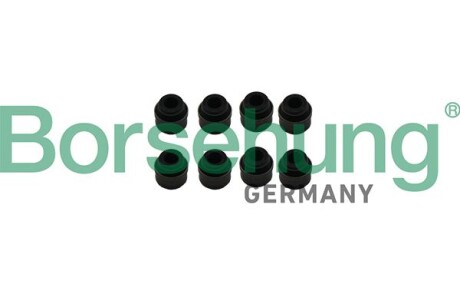 Фото 2 - Сальники клапанов Borsehung B19239