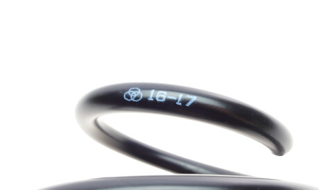 Фото 2 - Пружина подвески Borsehung B19305