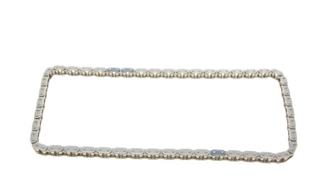 Фото 3 - Цепь ГРМ Borsehung B1C009