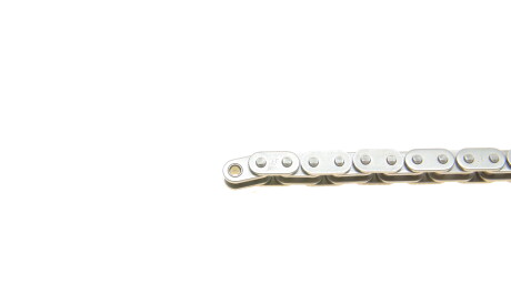 Фото 3 - Цепь ГРМ Borsehung B1C027