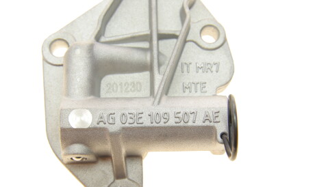 Фото 2 - Натягувач ланцюга ГРМ Borsehung B1T003