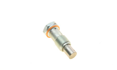 Фото 3 - Натягувач ланцюга ГРМ Borsehung B1T014