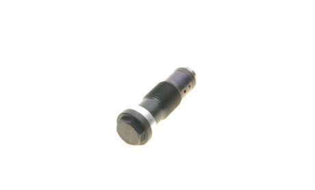 Фото 5 - Ланцюг ГРМ Borsehung B1T028