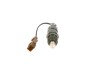 Емульсійна трубка - ((166007F406, 166007F407)) BOSCH 0 432 217 306 (фото 2)