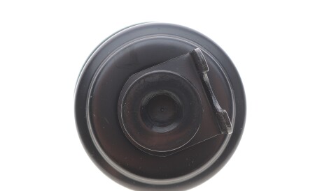 Фото 3 - Паливний фільтр BOSCH 0 986 450 109 (0986450109)