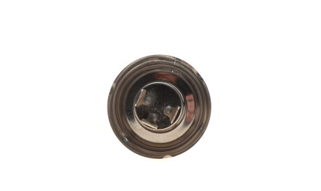 Фото 3 - Автолампа BOSCH 1 987 302 875 (1987302875)