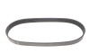 Ремінь генератора Land Rover Discovery 4.4 04-09/Range Rover 4.4 05-13 (8PK850) - (pqs500221) BOSCH 1 987 945 723 (фото 1)