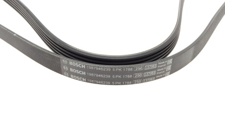 Фото 2 - Ремінь приводний BOSCH 1 987 946 239 (1987946239)