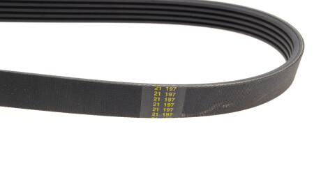 Фото 3 - Ремінь приводний BOSCH 1 987 946 239 (1987946239)