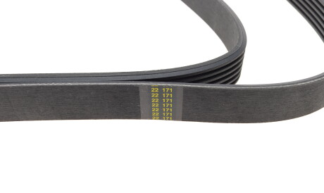 Фото 3 - Ремень приводной BOSCH 1 987 946 244 (1987946244)