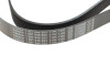 Ремінь приводний BOSCH 1 987 946 253 (1987946253) - зображення 5