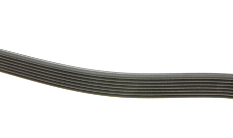 Фото 3 - Ремінь приводний BOSCH 1 987 946 257 (1987946257)