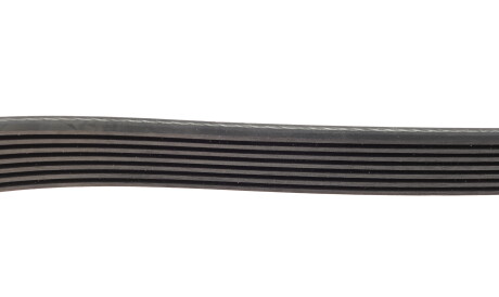 Фото 3 - Ремень приводной BOSCH 1 987 946 259 (1987946259)