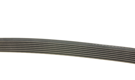 Фото 2 - Ремінь приводний BOSCH 1 987 946 261 (1987946261)