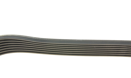 Фото 3 - Ремень приводной BOSCH 1 987 948 321 (1987948321)