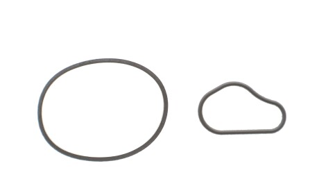 Прокладка насосу вакуумного (к-кт) Fiat Scudo/Citroen Berlingo/Peugeot Expert 1.6D/HDi 07- - BOSCH F009D00783