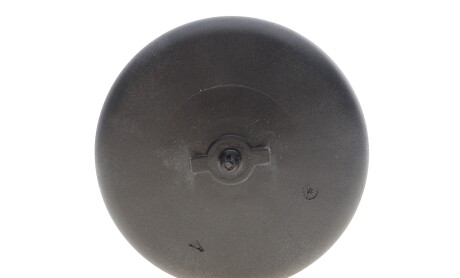 Фото 8 - Масляний фільтр BOSCH F 026 407 119 (F026407119)