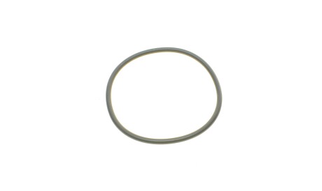 Фото 2 - Масляний фільтр BOSCH F 026 407 173 (F026407173)