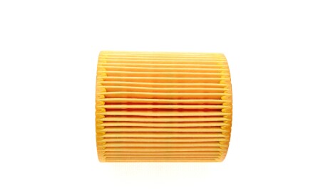 Фото 2 - Масляный фильтр BOSCH F 026 407 175 (F026407175)