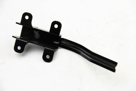 Фото 3 - Двері BSG BSG 60-975-024 (BSG60975024)