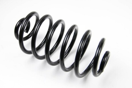 Фото 2 - Пружина підвіски BSG BSG 65-305-016 (BSG65305016)