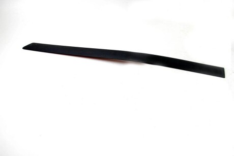 Фото 2 - Двері BSG BSG 65-925-005 (BSG65925005)