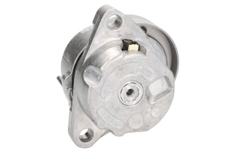 Фото 2 - Ролик ременя приводного BTA E3X0001BTA