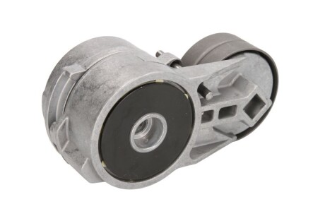 Фото 2 - Ролик ременя приводного BTA E3Y0001BTA