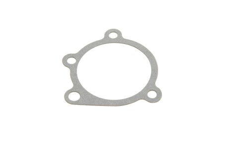 Фото 8 - Водяной насос BUGATTI PA0240