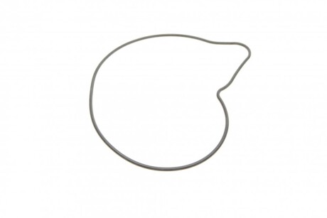 Фото 11 - Водяний насос BUGATTI PA10060