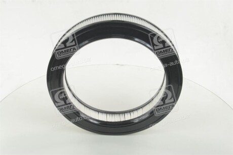 Фото 3 - Воздушный фильтр CHAMPION CAF100103R