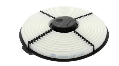 Фото 2 - Воздушный фильтр CHAMPION CAF100211R