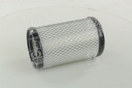 Фото 3 - Повітряний фільтр CHAMPION CAF100434C