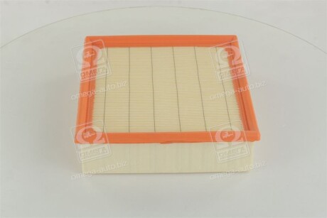 Фото 2 - Воздушный фильтр CHAMPION CAF100505P