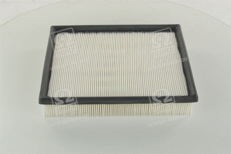 Фото 3 - Повітряний фільтр CHAMPION CAF100507P