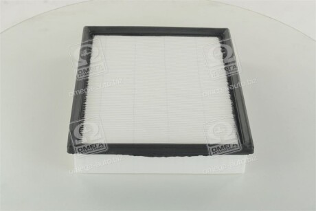 Фото 4 - Повітряний фільтр CHAMPION CAF100507P