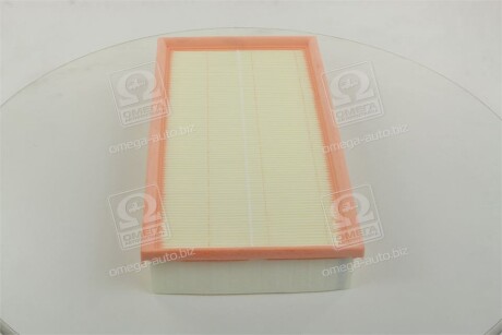 Фото 2 - Повітряний фільтр CHAMPION CAF100562P