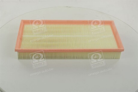 Фото 3 - Повітряний фільтр CHAMPION CAF100562P