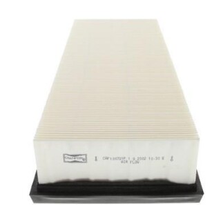 Фото 2 - Повітряний фільтр CHAMPION CAF100721P