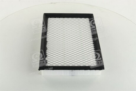 Фото 2 - Воздушный фильтр CHAMPION CAF100734P