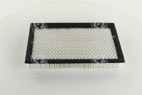 Фото 3 - Воздушный фильтр CHAMPION CAF100734P