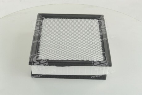 Фото 2 - Повітряний фільтр CHAMPION CAF100767P