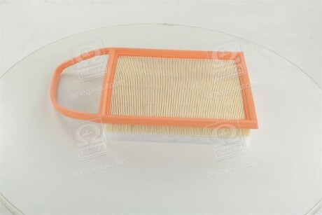 Фото 3 - Повітряний фільтр CHAMPION CAF100916P