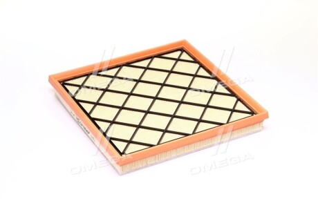 Фото 4 - Повітряний фільтр CHAMPION CAF100945P