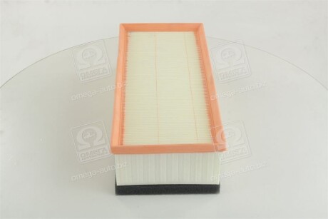 Фото 2 - Воздушный фильтр CHAMPION CAF100974P