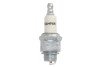 Spare part - CHAMPION RJ19LMCT10 (фото 1)