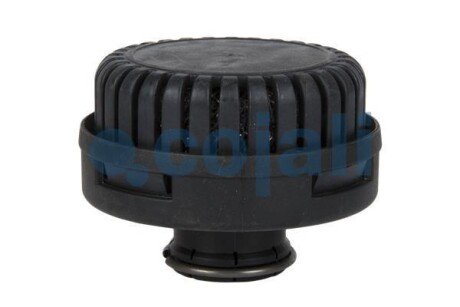 Глушник пневматичної системи IVECO EUROCARGO I-III, EUROTECH MT, EUROTRAKKER MAN E2000, F2000, F90 UNTERFLUR, FOC, G90, HOCL, L2000, LION´S COACH, LION´S STAR, M 2000 L, M 2000 M, M90 01.80- - COJALI 2203100