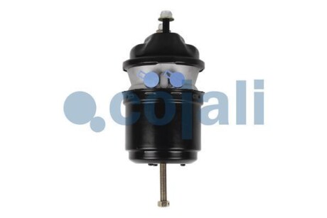Гальмівний енергоакумулятор задн (24/24, хід штока: 75мм/75мм) - COJALI 2251537 (фото 1)